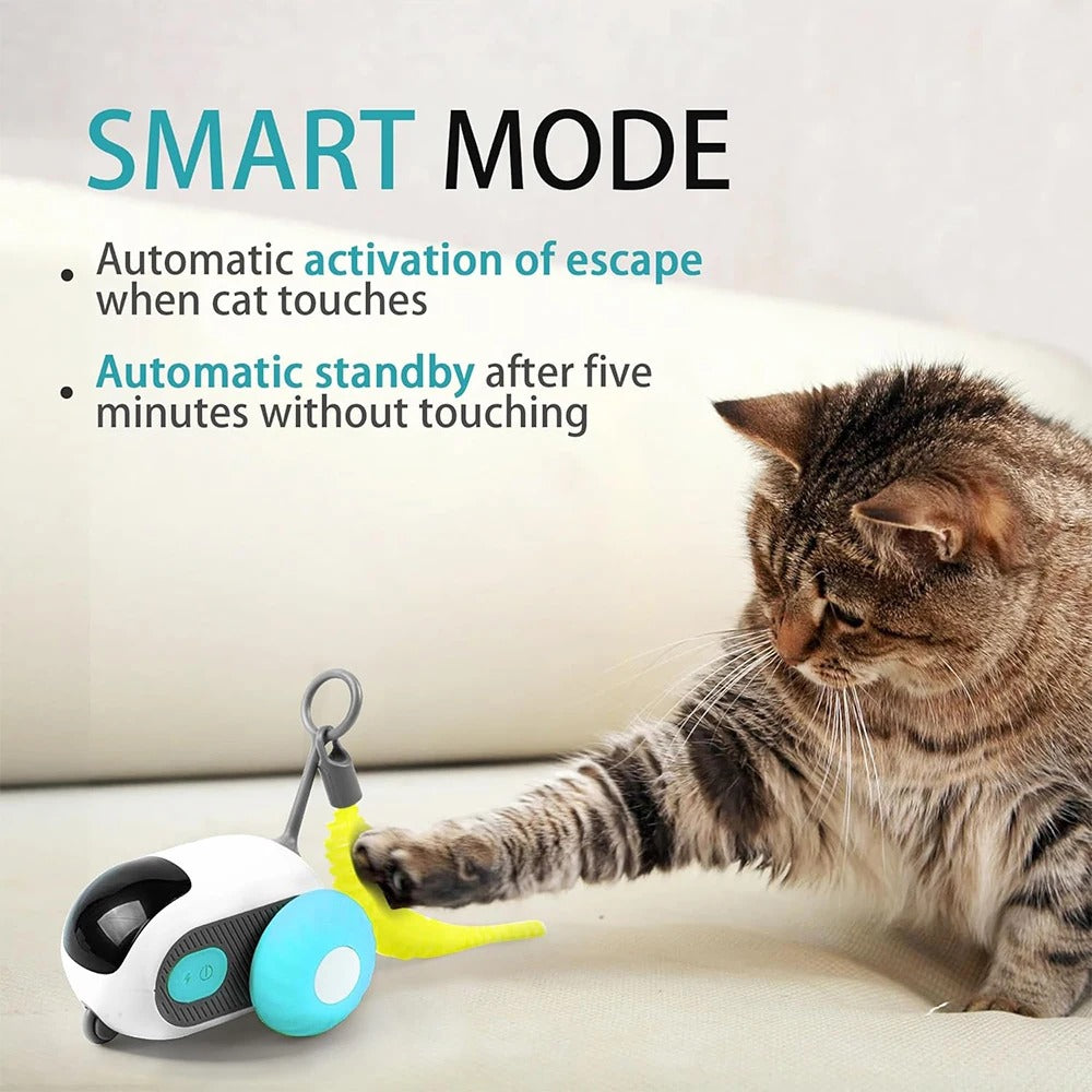 Smart CAT TOY ( Remote)